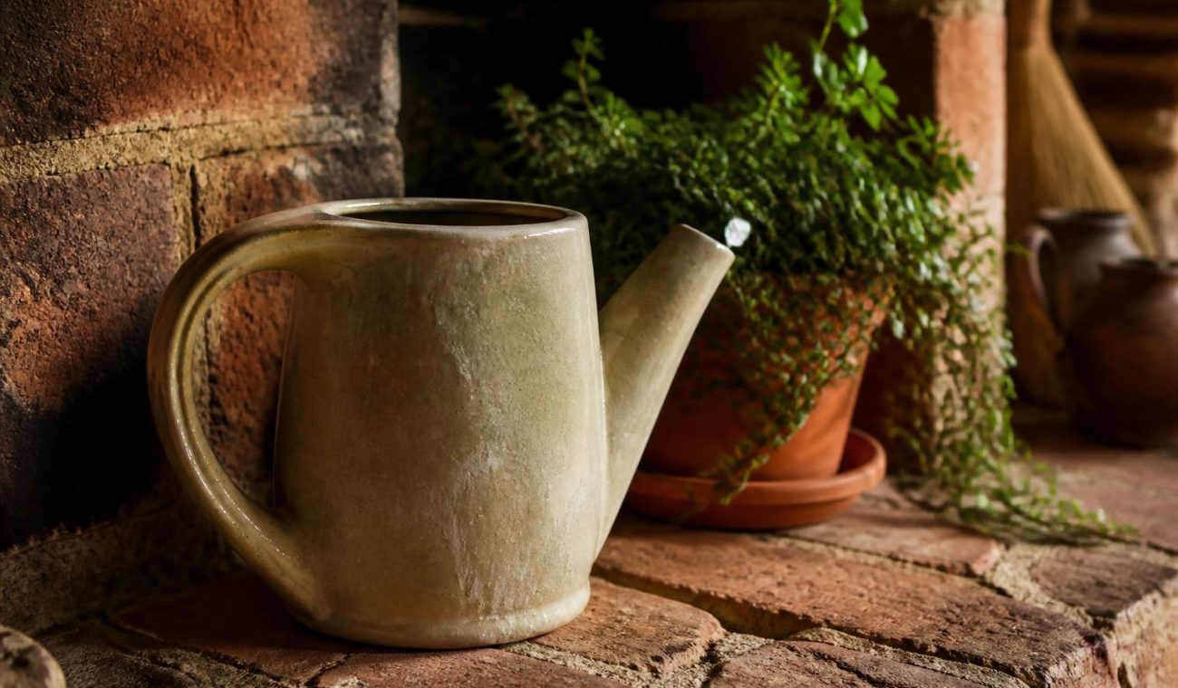 Smart Landscaping and Cozy Interiors: A Practical Guide to Harmony Between Home, Garden, and Decor