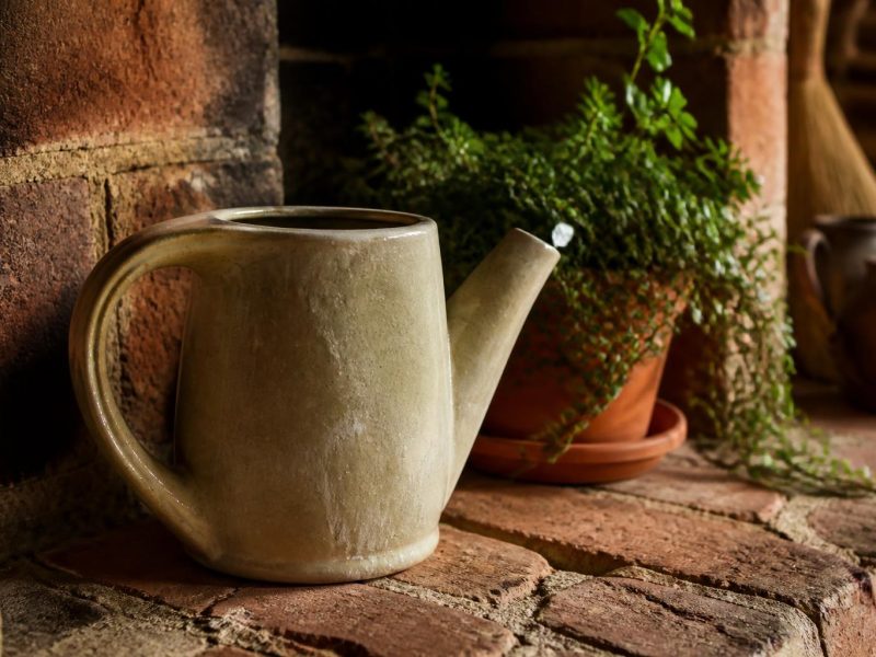 Smart Landscaping and Cozy Interiors: A Practical Guide to Harmony Between Home, Garden, and Decor